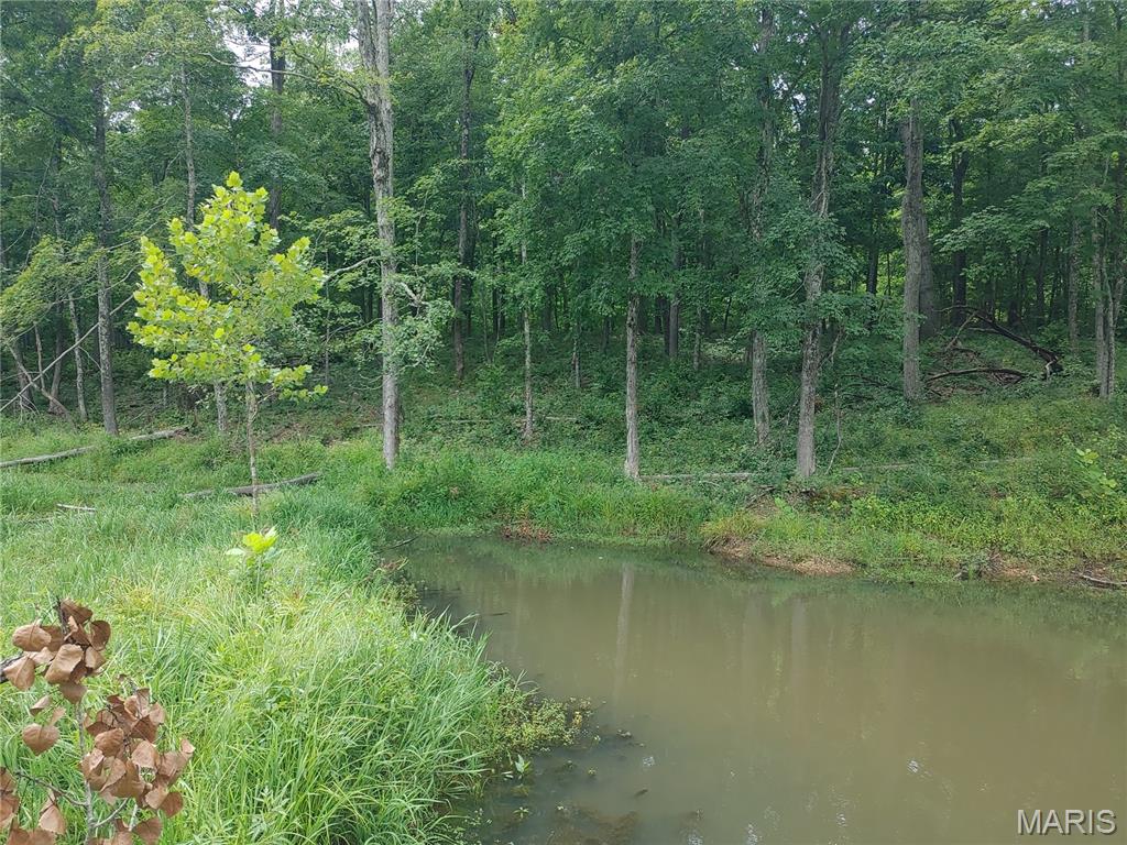2139 County Road 101 Property Photo 44