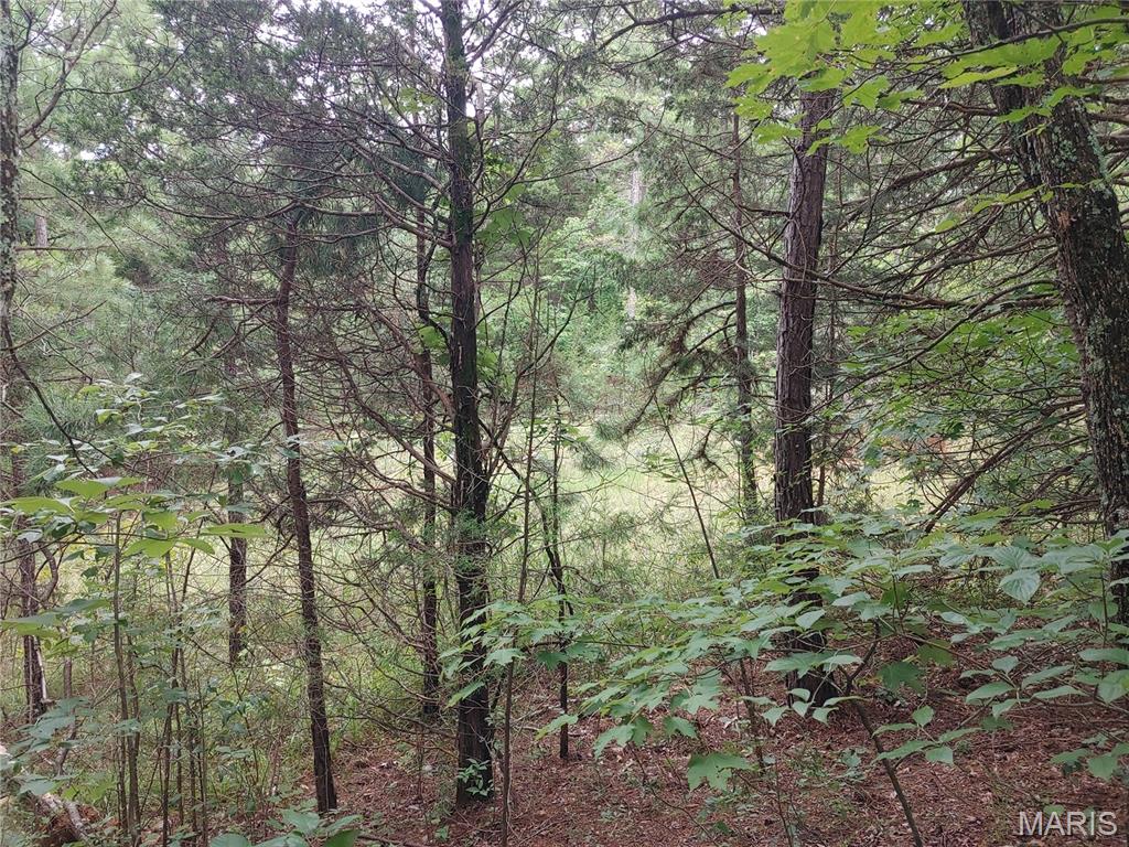 2139 County Road 101 Property Photo 51