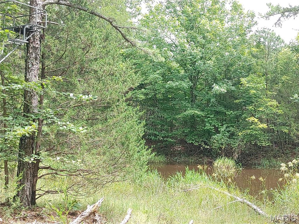 2139 County Road 101 Property Photo 54