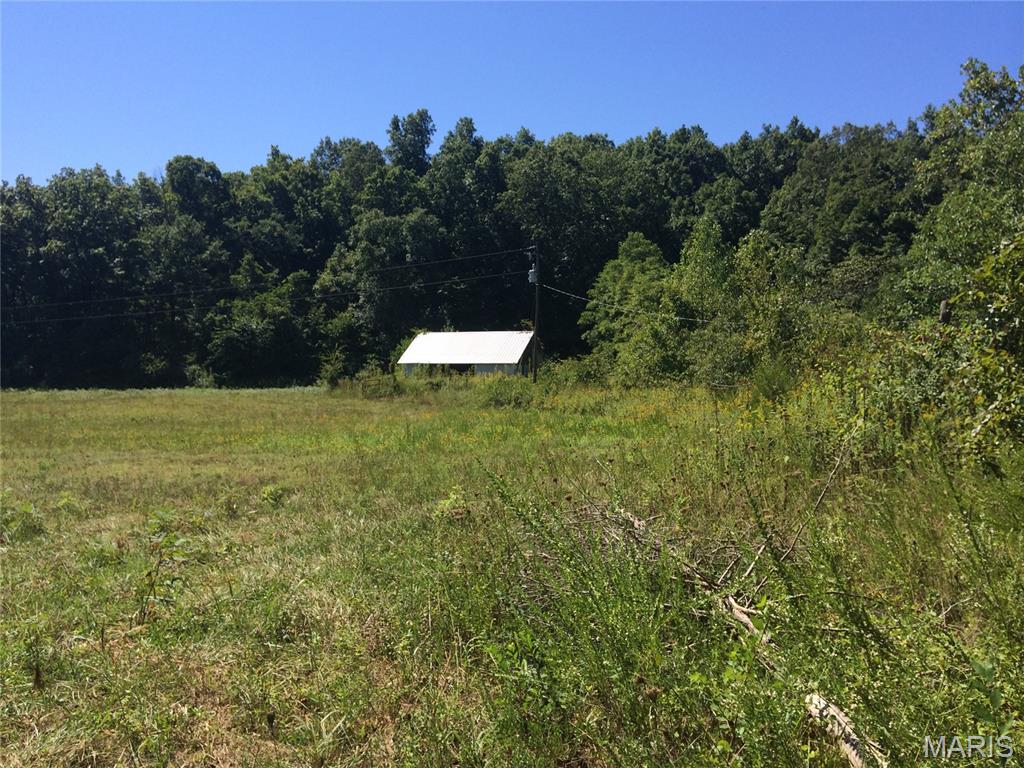 2139 County Road 101 Property Photo 58