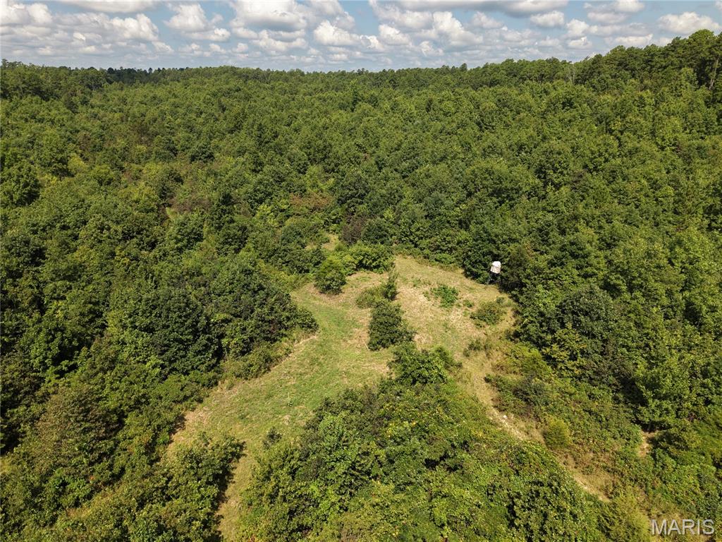 69042 Missouri 21 Property Photo 1