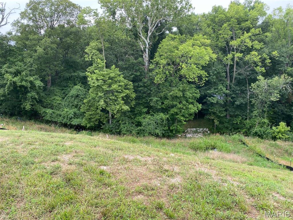 2041 Lily Avenue Property Photo 1