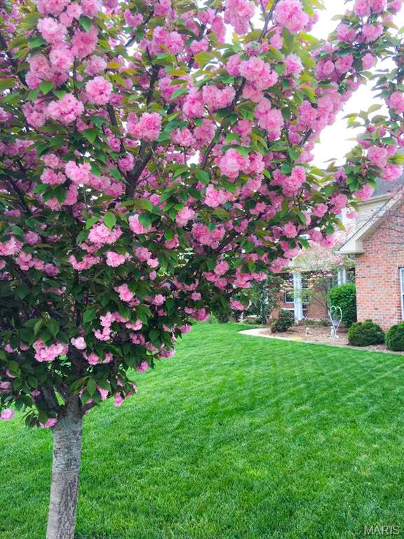 1524 Caleb Court Property Photo 29