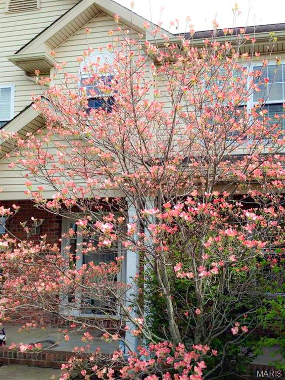 1524 Caleb Court Property Photo 38