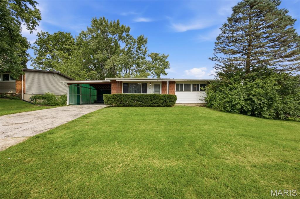 10316 Chesley Drive Property Photo 1