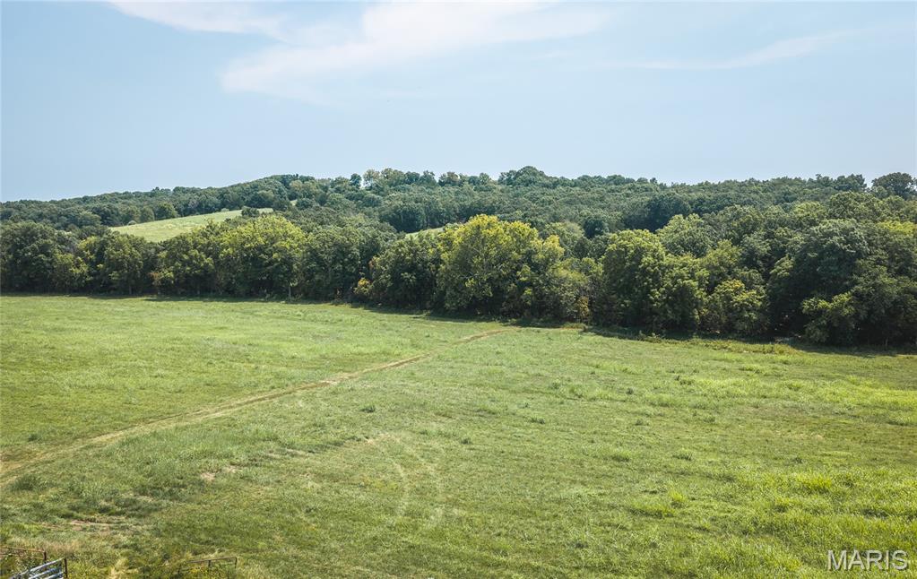 271 Freedom Trail Property Photo 11