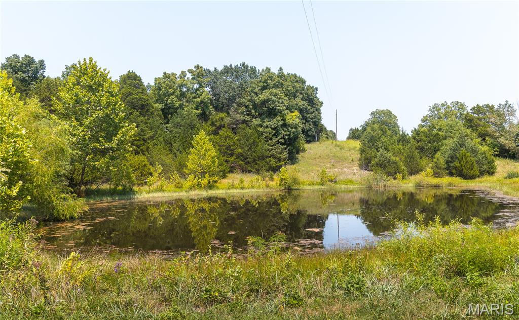 271 Freedom Trail Property Photo 83