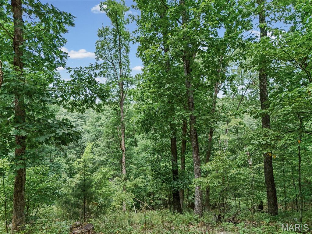 0 Upper Moss Hollow Property Photo 4