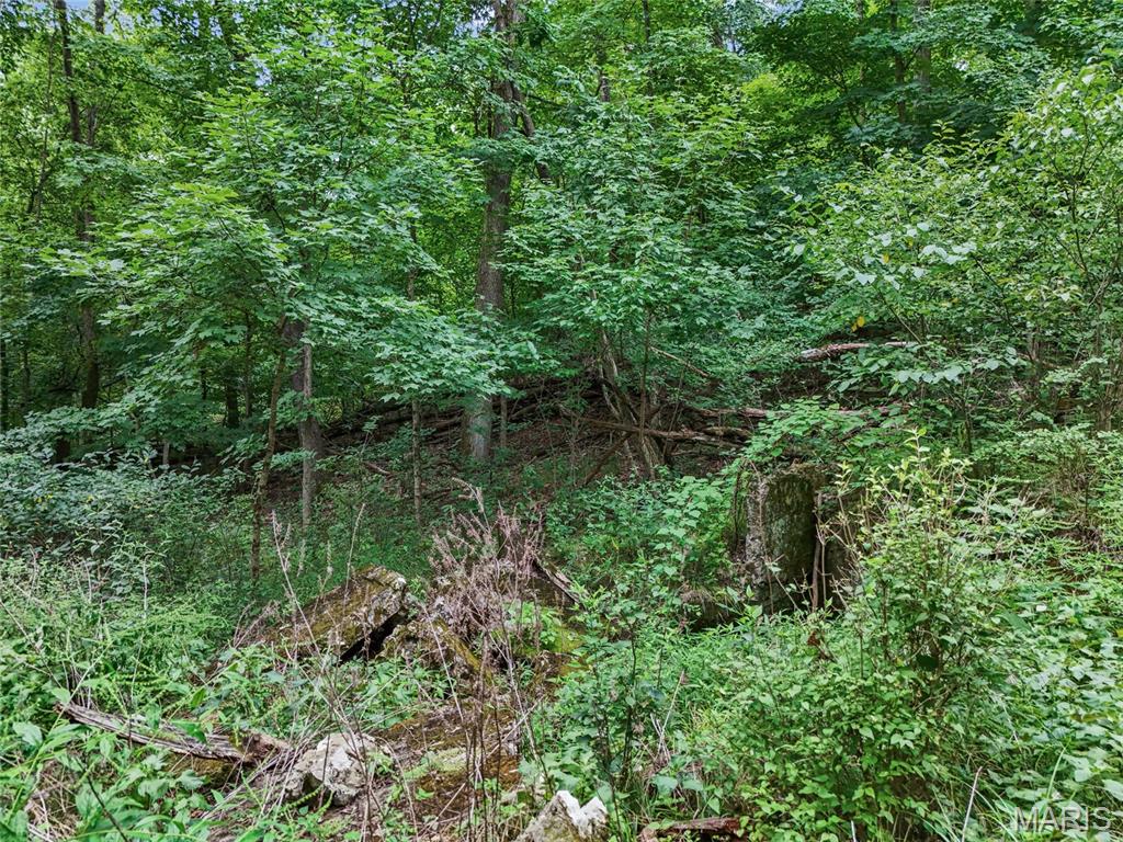 0 Upper Moss Hollow Property Photo 6