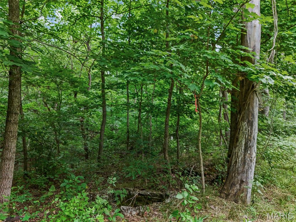 0 Upper Moss Hollow Property Photo 7