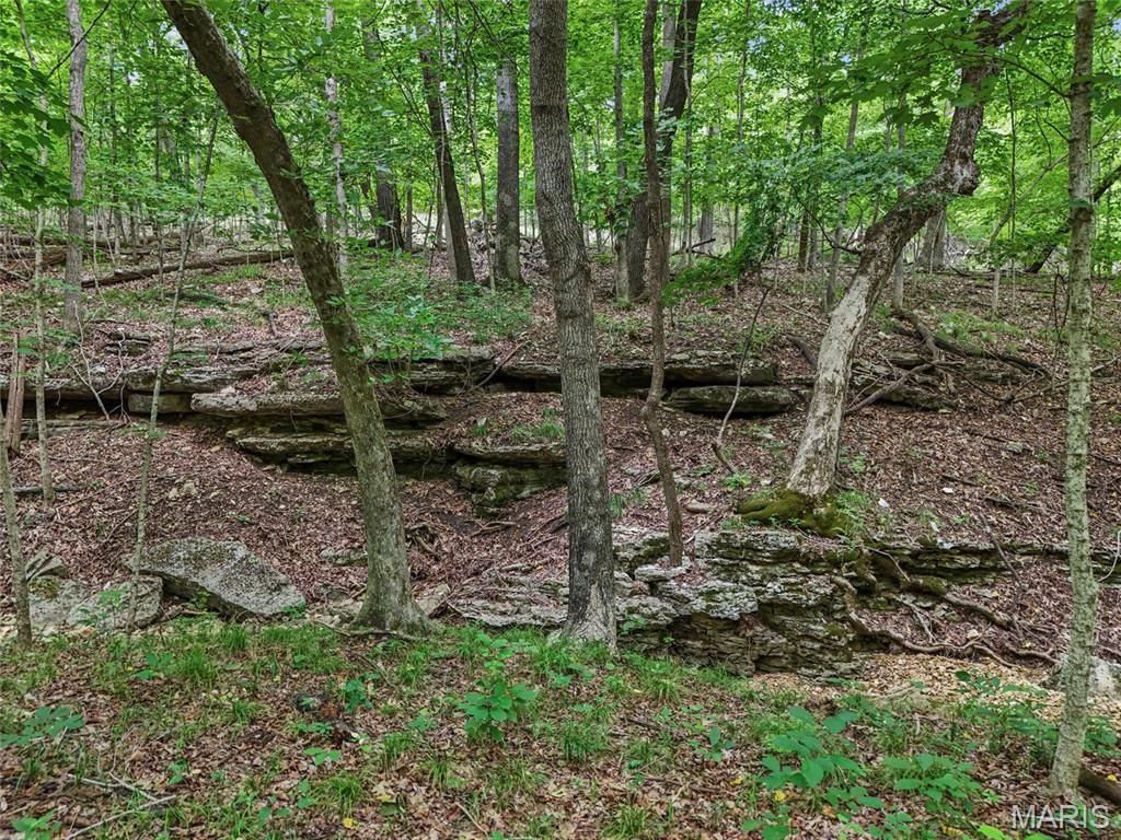 0 Upper Moss Hollow Property Photo 8