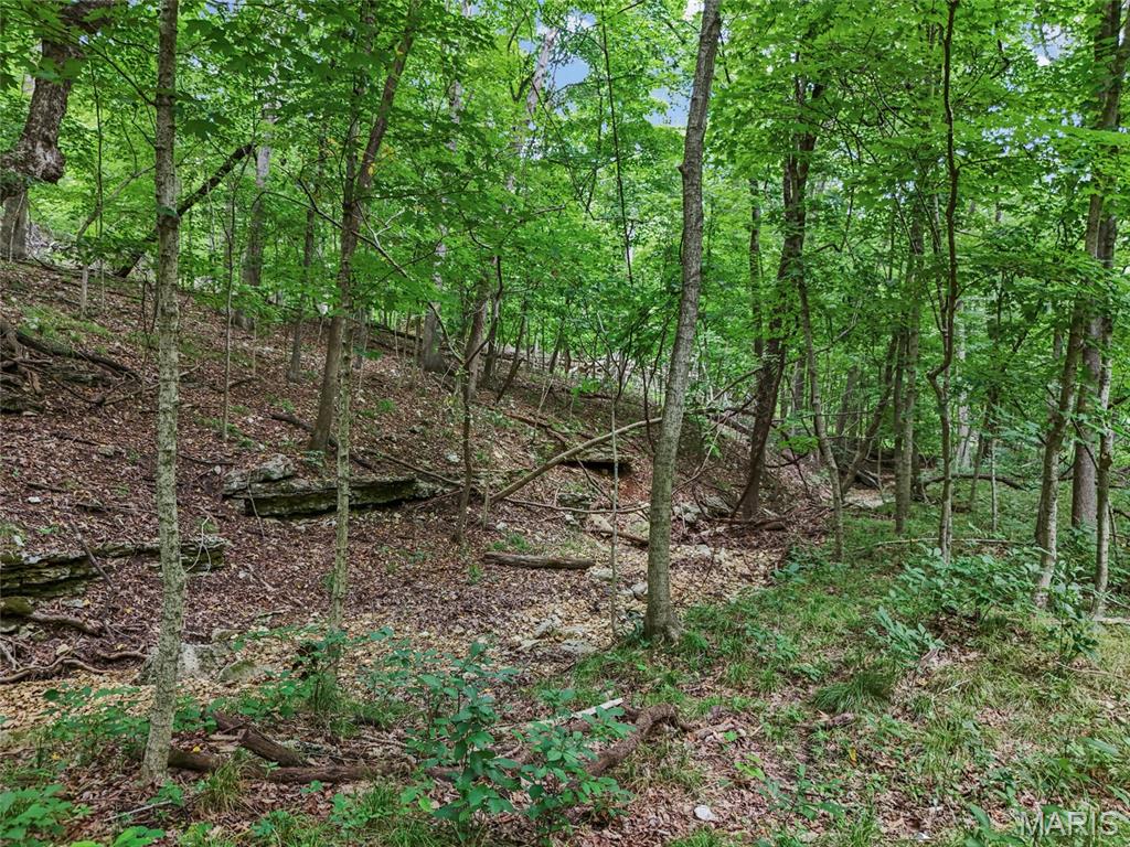 0 Upper Moss Hollow Property Photo 9