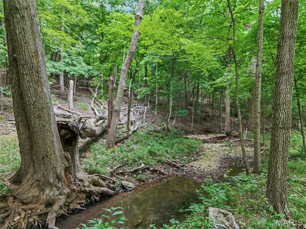0 Upper Moss Hollow Property Photo 10