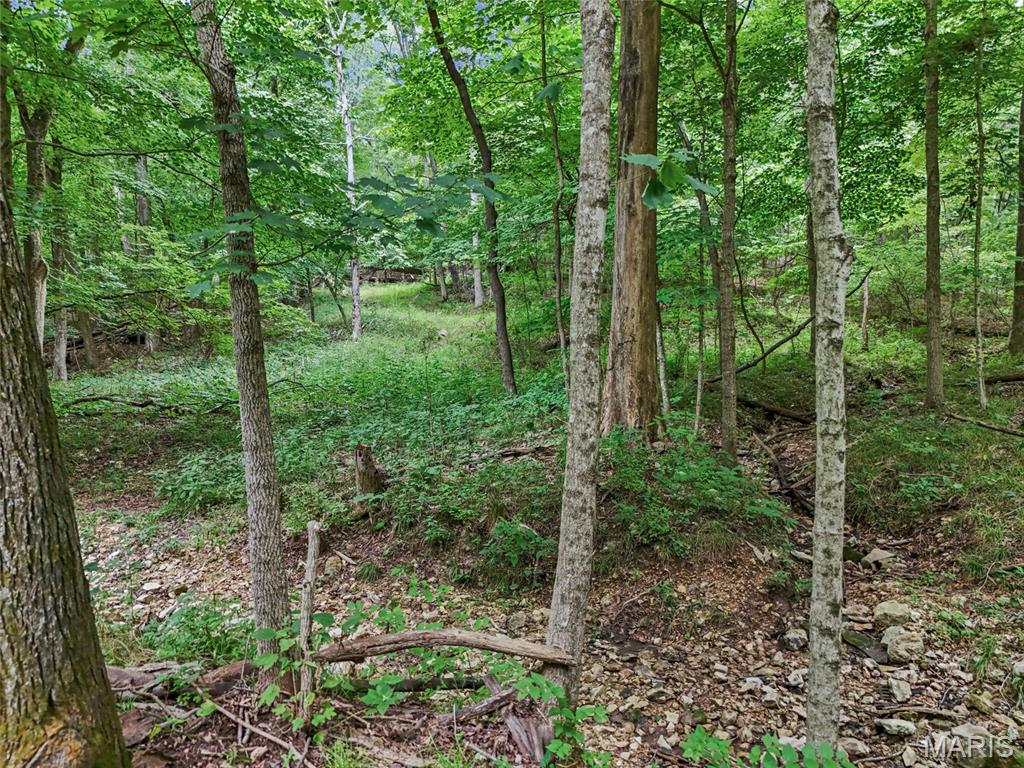 0 Upper Moss Hollow Property Photo 11