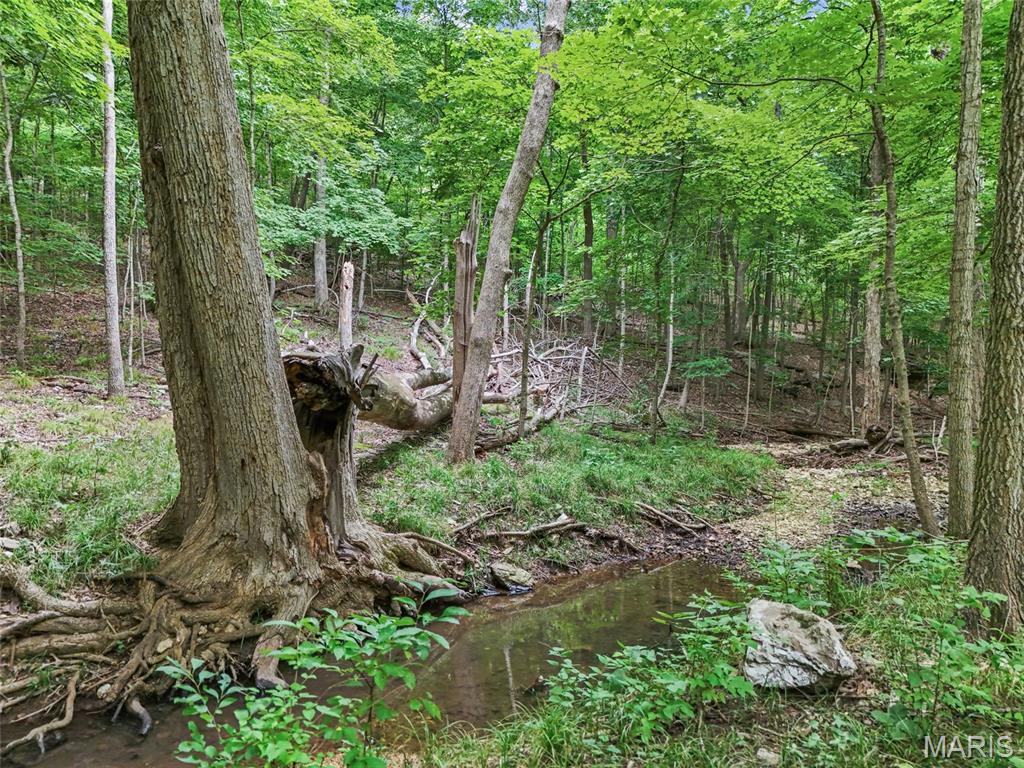 0 Upper Moss Hollow Property Photo 12