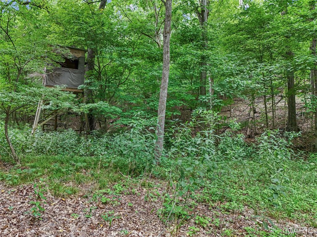 0 Upper Moss Hollow Property Photo 13