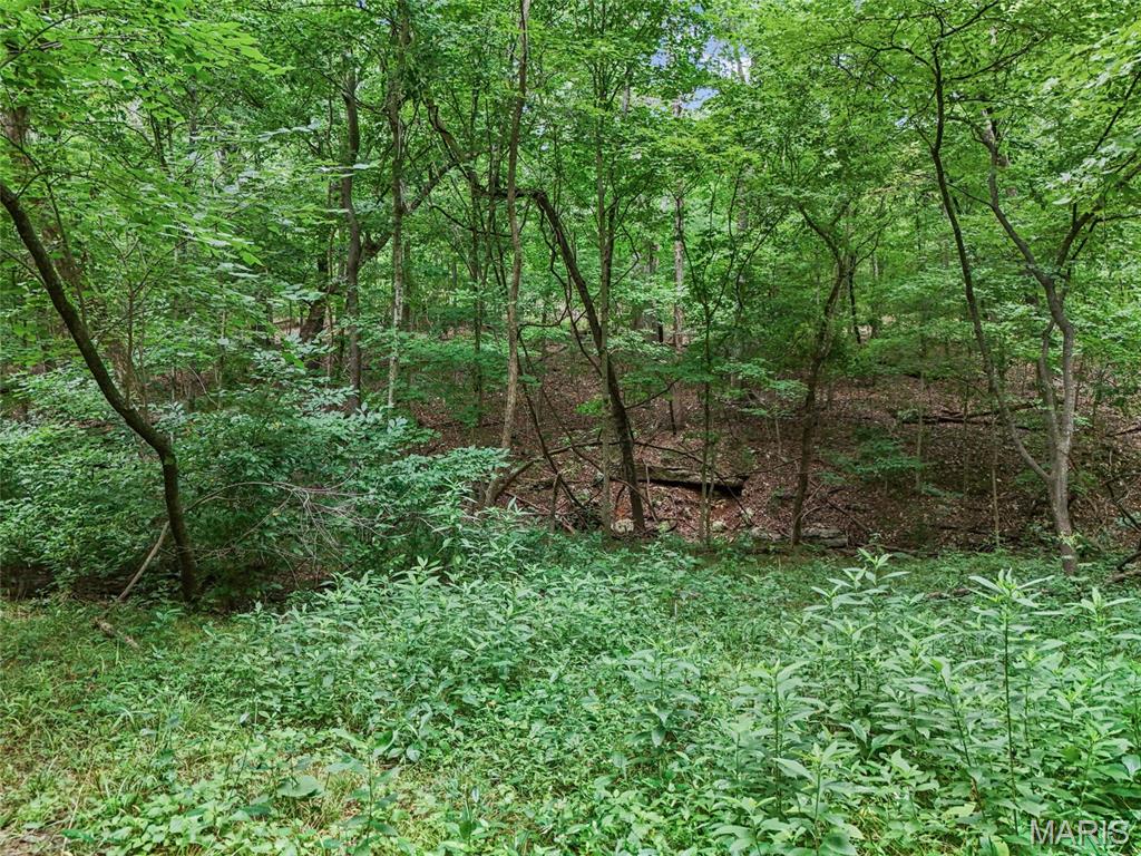 0 Upper Moss Hollow Property Photo 14