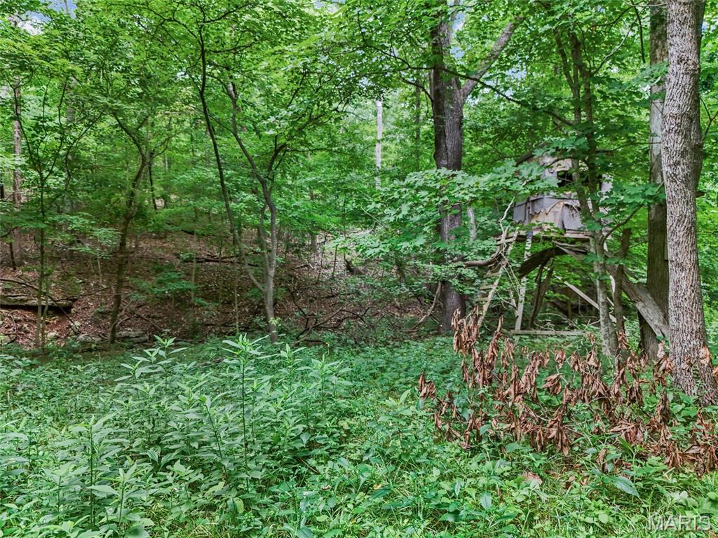 0 Upper Moss Hollow Property Photo 15