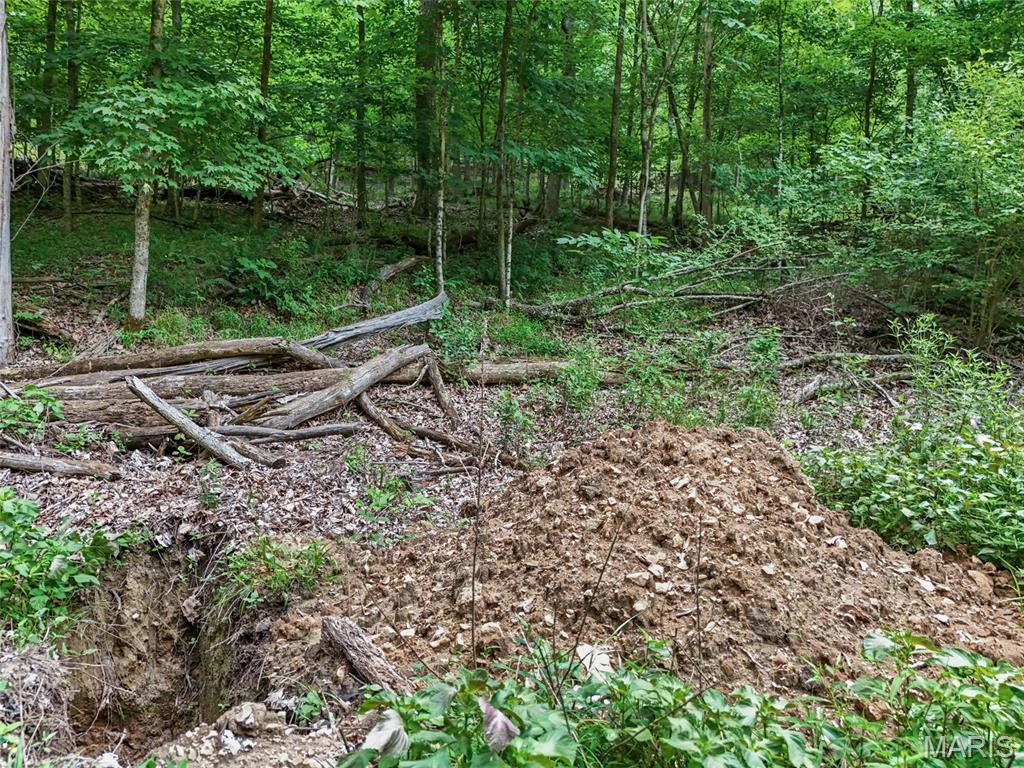 0 Upper Moss Hollow Property Photo 16
