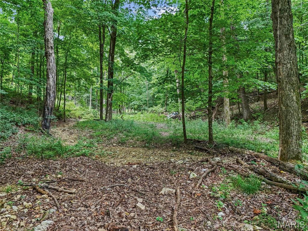 0 Upper Moss Hollow Property Photo 17