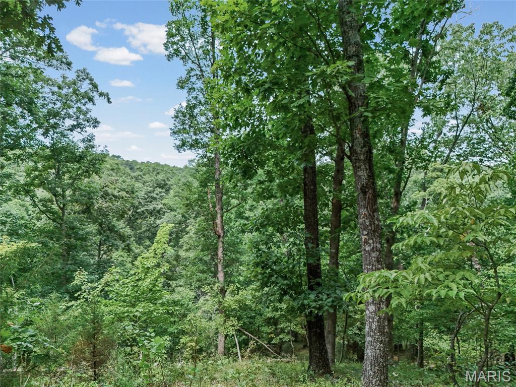 0 Upper Moss Hollow Property Photo 18