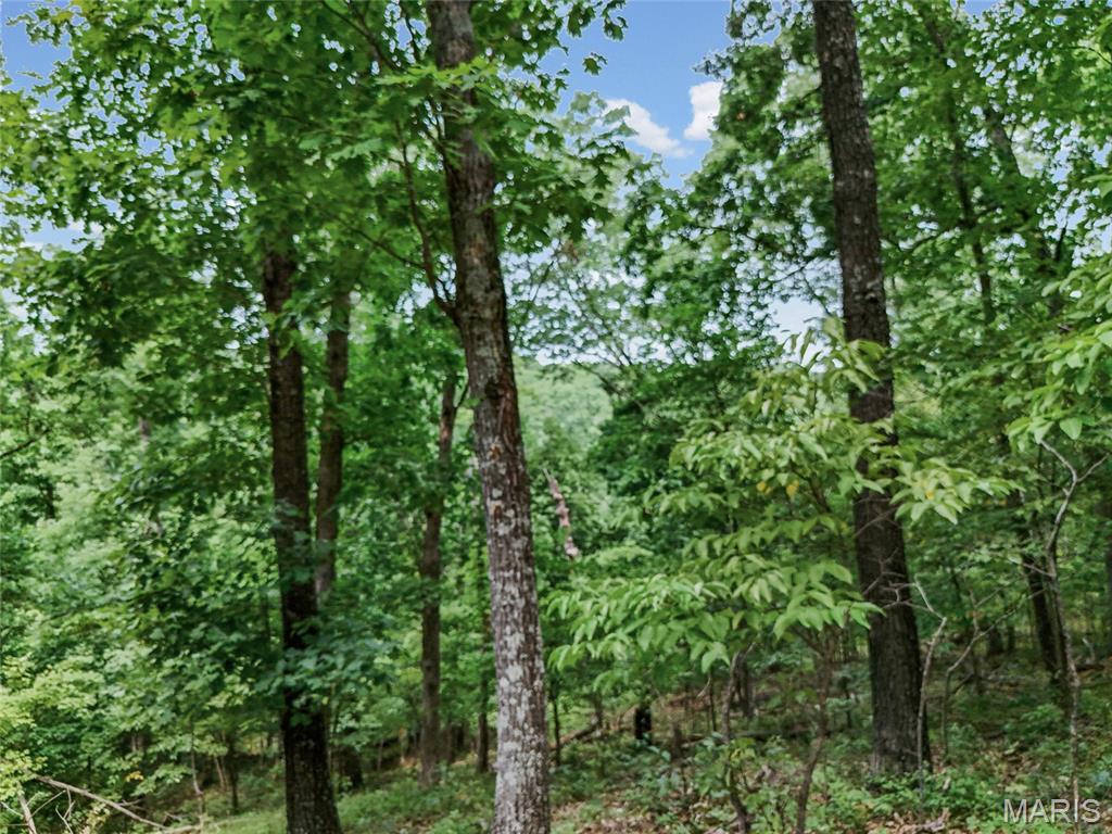 0 Upper Moss Hollow Property Photo 19