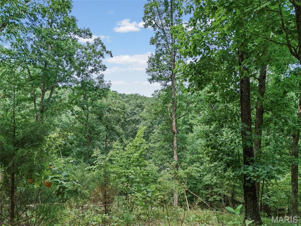 0 Upper Moss Hollow Property Photo 20