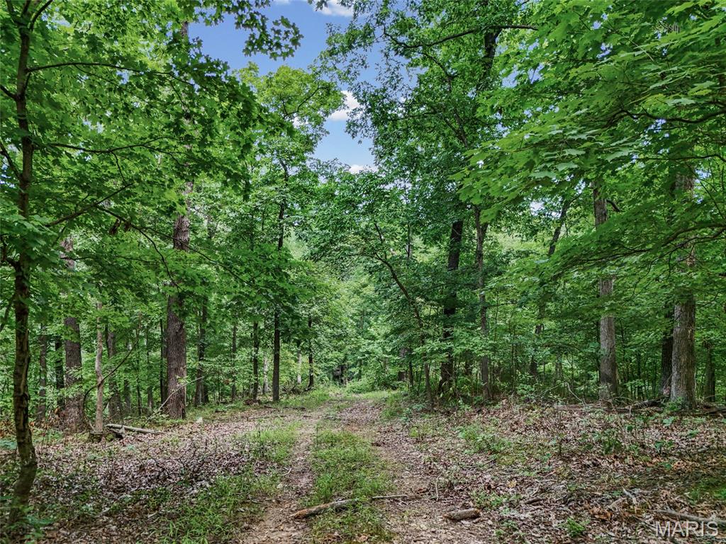 0 Upper Moss Hollow Property Photo 21