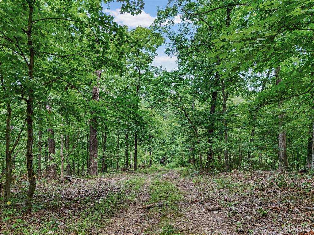 0 Upper Moss Hollow Property Photo 22