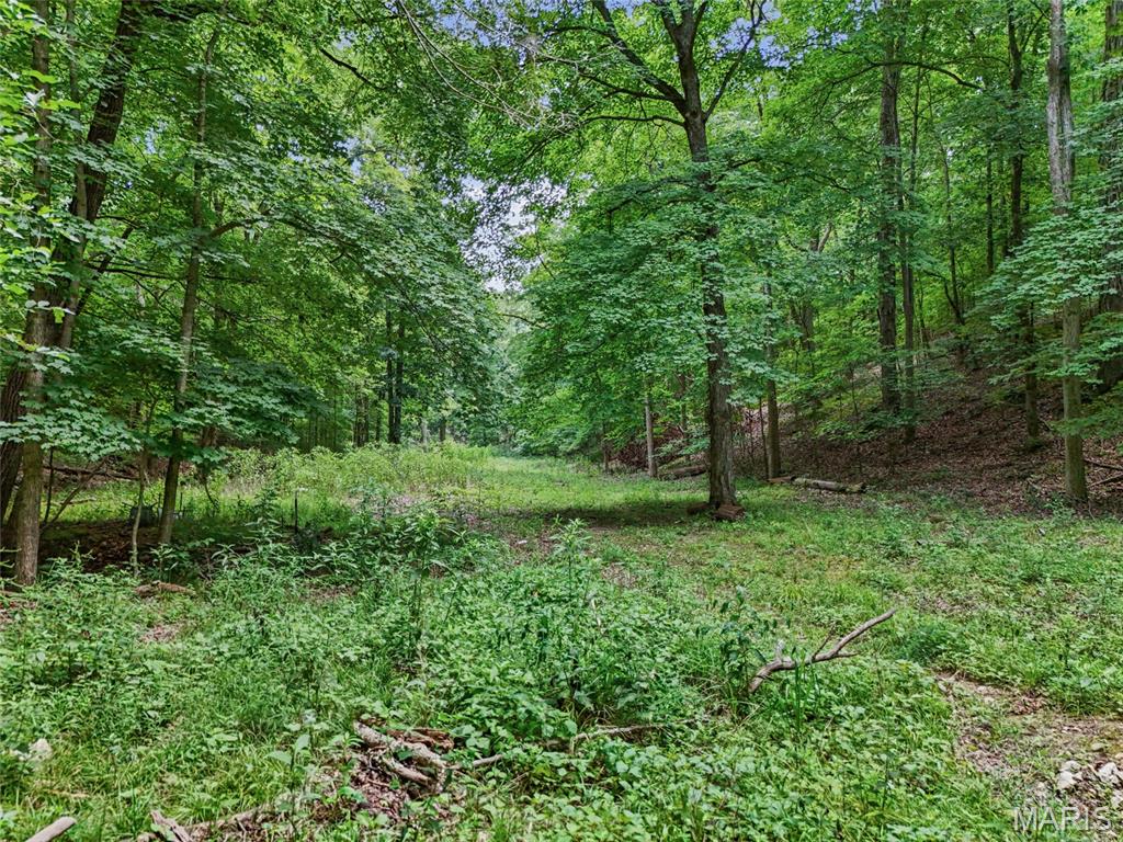 0 Upper Moss Hollow Property Photo 23