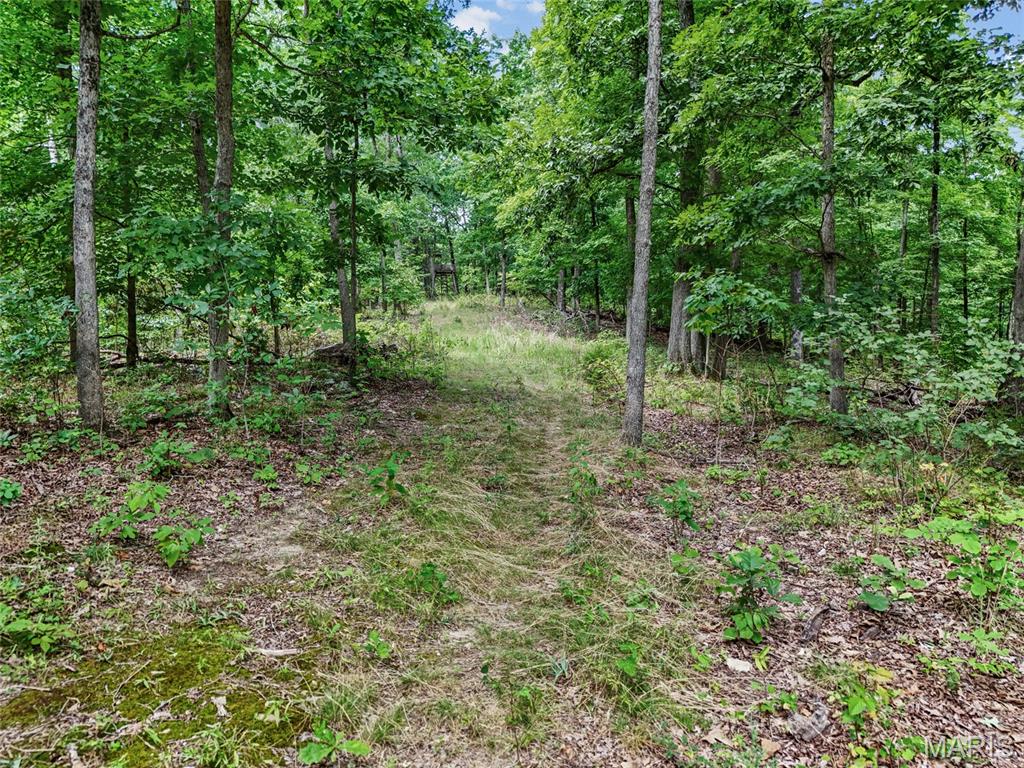 0 Upper Moss Hollow Property Photo 24
