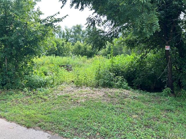 0 County Road 32 Property Photo 1