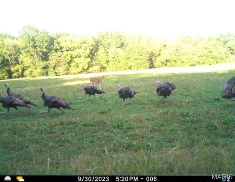 Tract 1 00 Summit Road Property Photo 5