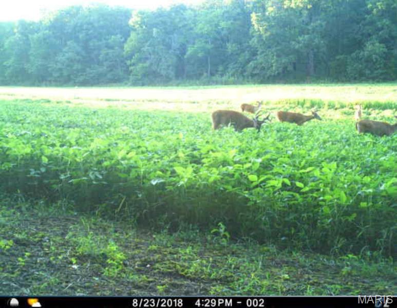 Tract 1 00 Summit Road Property Photo 55