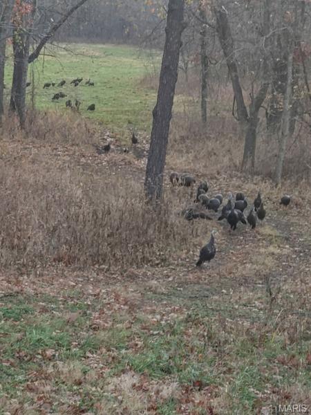 Tract 1 00 Summit Road Property Photo 58