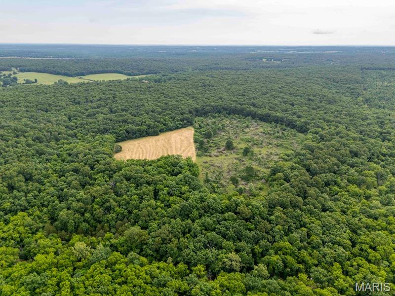 Tract 1 00 Summit Road Property Photo 82