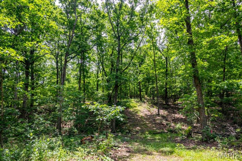 Tract 1 00 Summit Road Property Photo 84