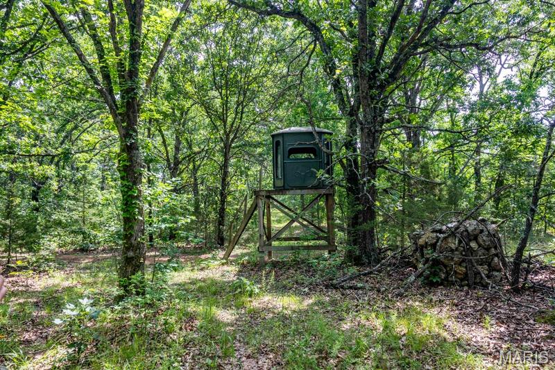 Tract 1 00 Summit Road Property Photo 87
