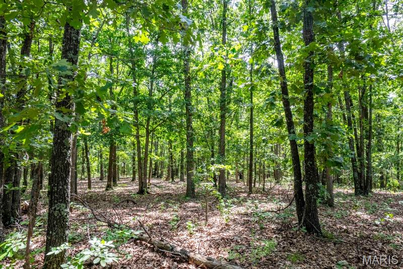 Tract 1 00 Summit Road Property Photo 88