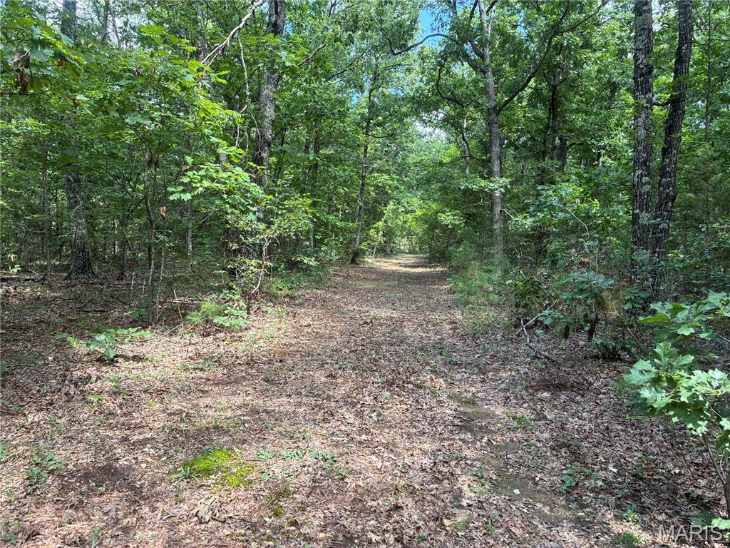 0 Highway A Property Photo 4