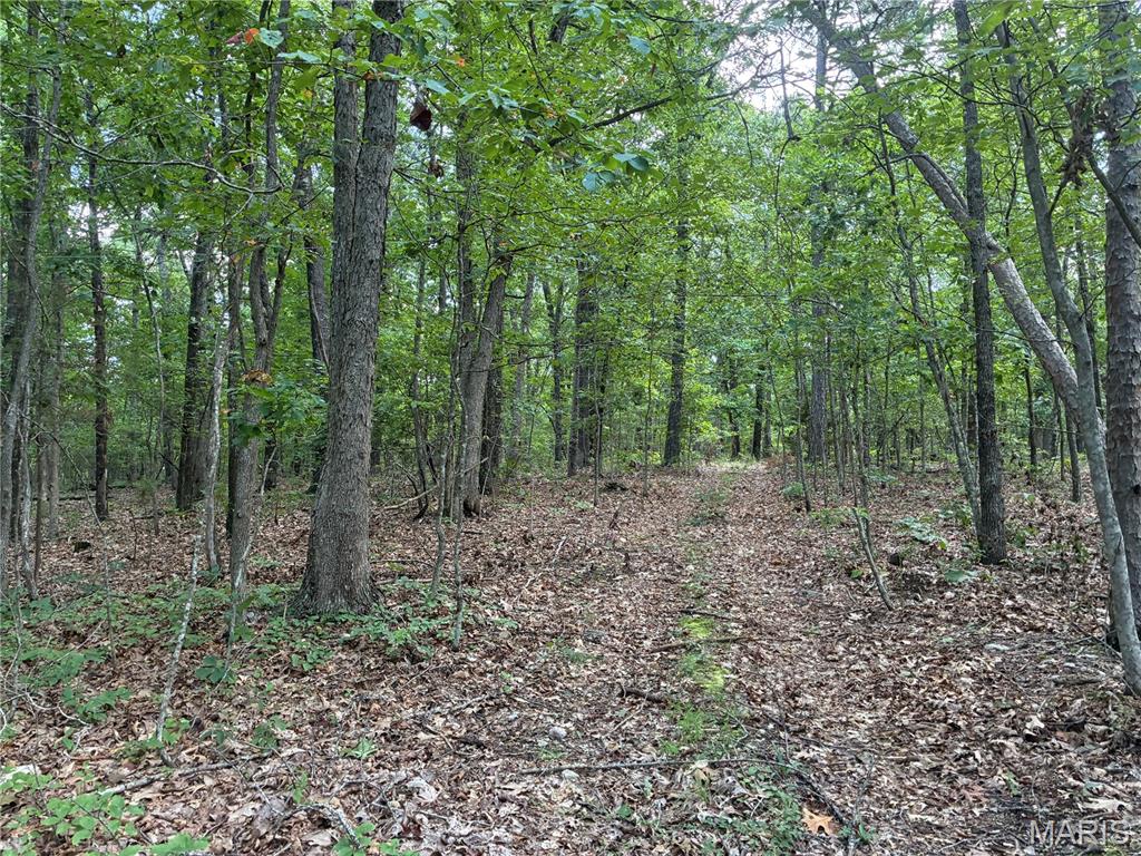 0 Highway A Property Photo 7
