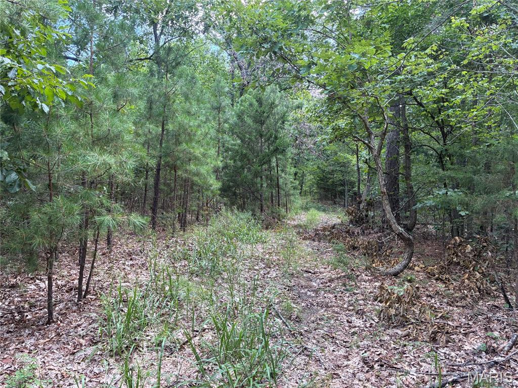 0 Highway A Property Photo 29