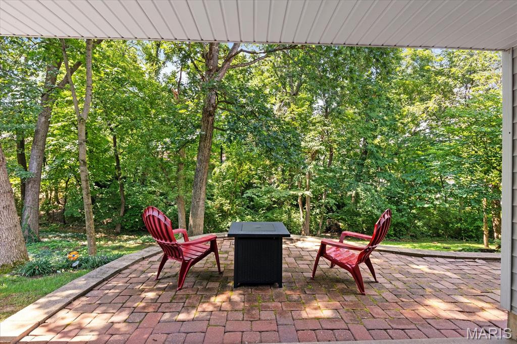 1131 Black Forest Drive Property Photo 46