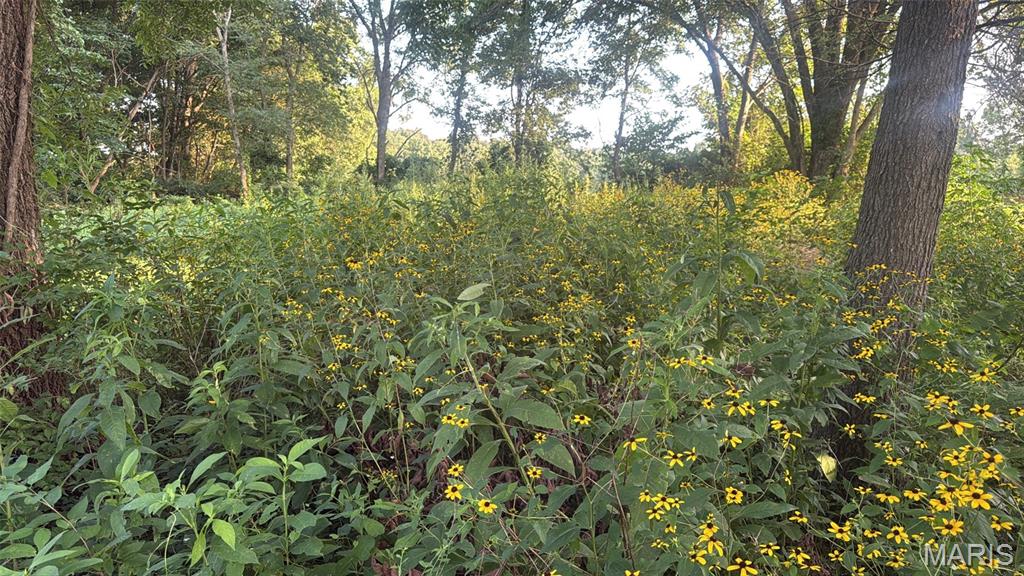 1193 E Highway 72 Property Photo 26