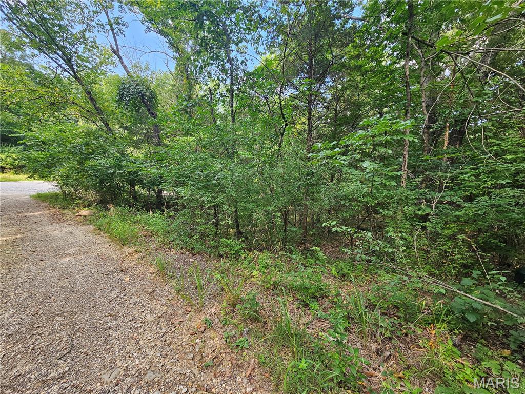 9468 Bent Tree Drive Property Photo 1