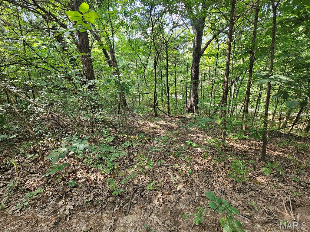 9468 Bent Tree Drive Property Photo 2