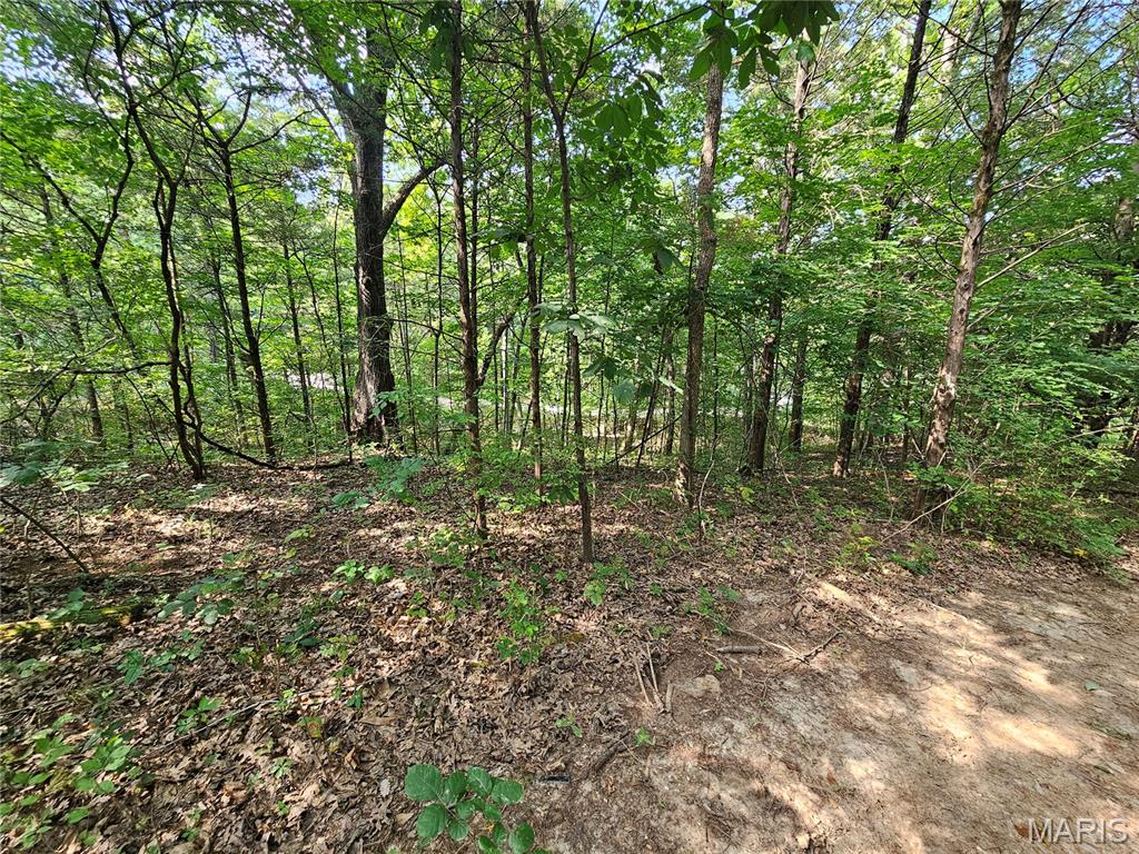 9468 Bent Tree Drive Property Photo 3