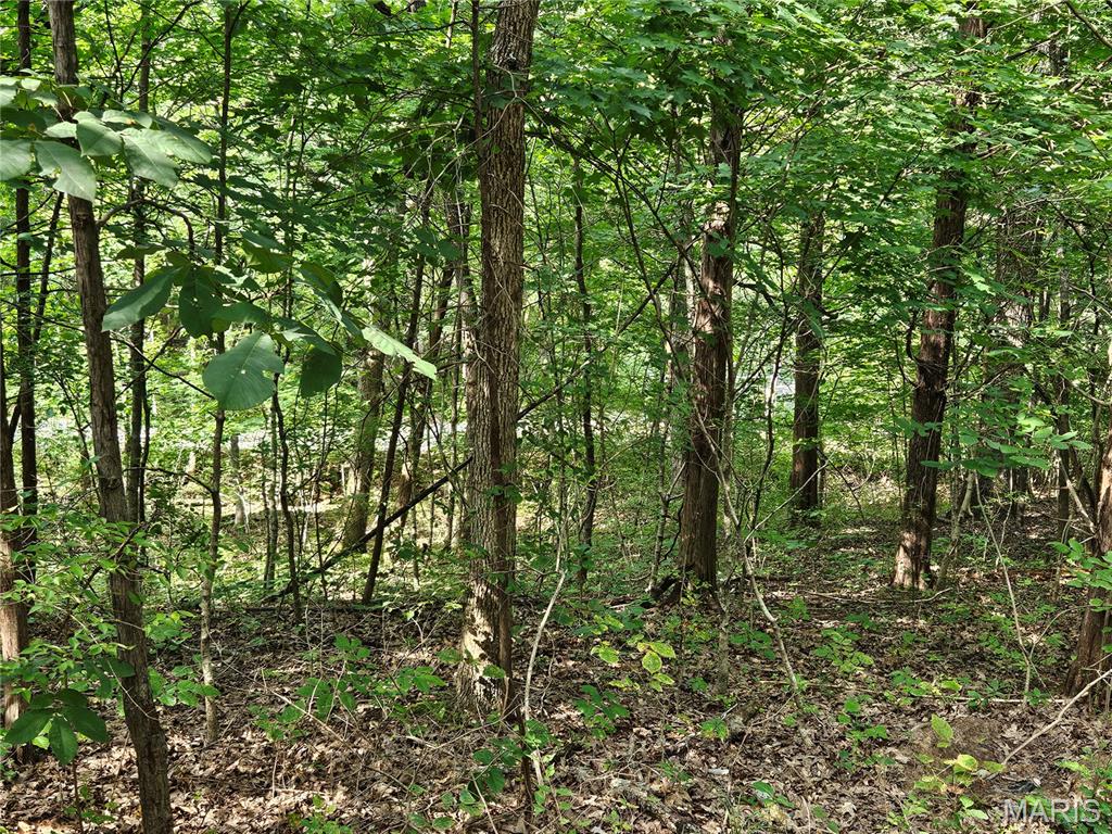 9468 Bent Tree Drive Property Photo 4