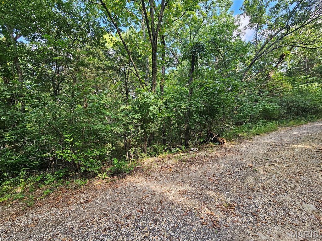9468 Bent Tree Drive Property Photo 6