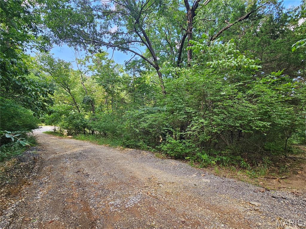 9468 Bent Tree Drive Property Photo 7